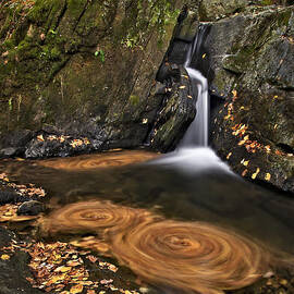 Triple Swirls by Susan Candelario