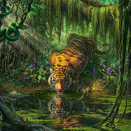  Aurora's Garden by Mark Fredrickson