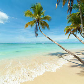 Tropical Beach, Caribbean by John Harper
