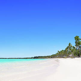 Tropical, Empty  Beach by Gerisima