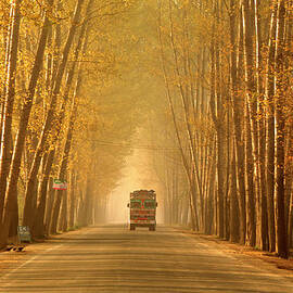 Truck In Golden Tunnel by Pkg Photography