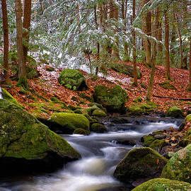 Tucker Brook First Snow by Jeff Sinon