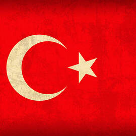 Turkey Flag Vintage Distressed Finish by Design Turnpike