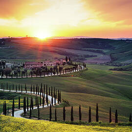 Tuscany Landscape At Sunset by Borchee