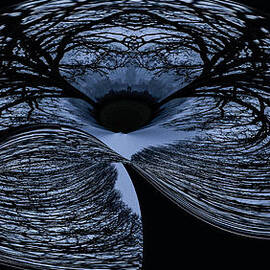 Twisted tree by Jean Noren