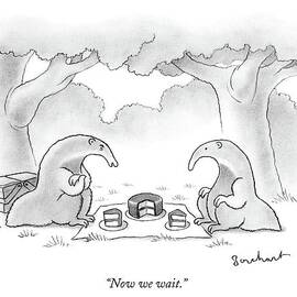 Two Anteaters On A Picnic Wait For Ants To Come by David Borchart