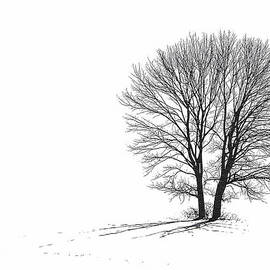 Two Become One by Richard Reeve