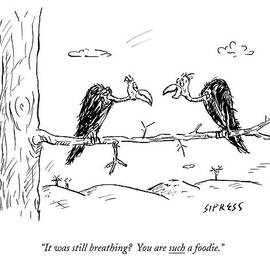 Two Buzzards Sit And Talk On A Branch by David Sipress