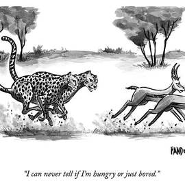 Two Cheetahs Chase Antelopes by Corey Pandolph