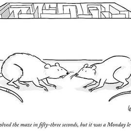 Two Labs Rats Speak Outside A Maze by Robert Leighton