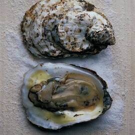 Two Oysters by Romulo Yanes