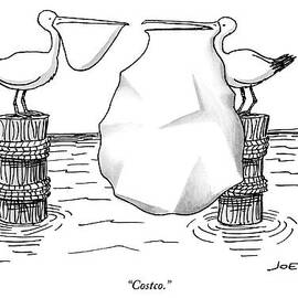 Two Pelicans Converse As The Other's Beak by Joe Dator