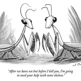 Two Praying Mantises Facing Each Other by Joe Dator