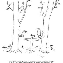 Two Trees Look At Restaurant Menus by Liana Finck