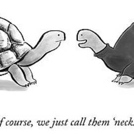 Two Turtles by Jason Adam Katzenstein