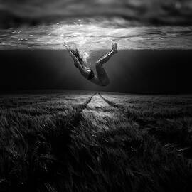 Underwaterlandream by Peter Majkut