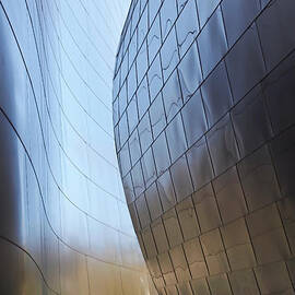 Undulating Steel by Rona Black