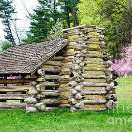 Unfinished Shelter by Olivier Le Queinec