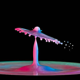 Up and Down by Susan Candelario