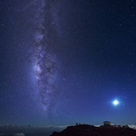 Usa, Hawaii, Maui, Milky Way by Michele Falzone