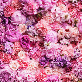 Various Cut Flowers, Detail by Jonathan Knowles