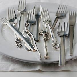 Various Forks On A Plate by Romulo Yanes