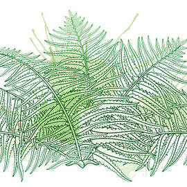 Vector Drawing Of Outline Fossil Forest by Bokasana