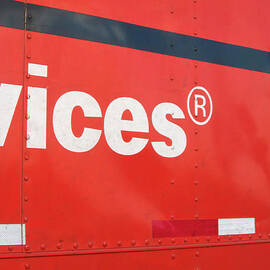 Vices by Mary Lee Dereske