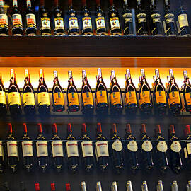 vino by Laura Fasulo