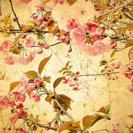 Vintage Blossom by Jessica Jenney