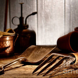Vintage Gardening Tools by Olivier Le Queinec