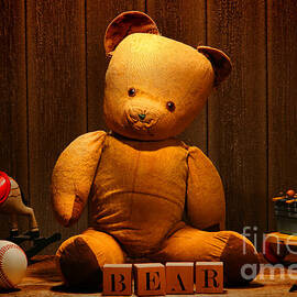 Vintage Teddy Bear and Toys by Olivier Le Queinec