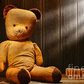 Vintage Teddy Bear by Olivier Le Queinec