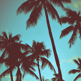 Vintage Tropical Palms by Mr Doomits