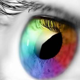 Vision of Color by Gianfranco Weiss