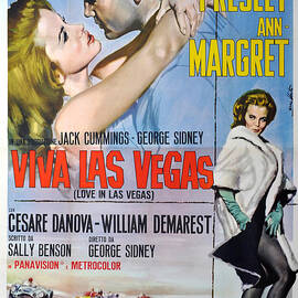 Viva Las Vegas by Georgia Clare