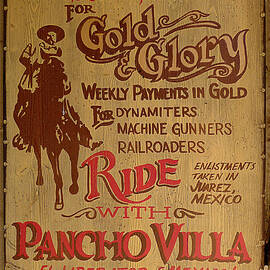 Viva Revolucion - Pancho Villa by Richard Reeve