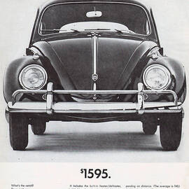 Volkswagen Beetle by Georgia Clare