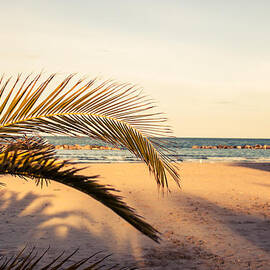 Waiting Summer by AM FineArtPrints