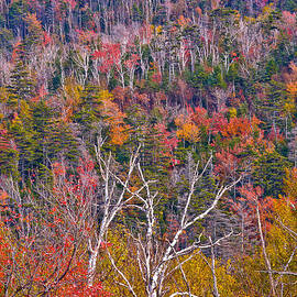 Wall Of Color by Jeff Sinon