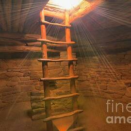 Warmth by Adam Jewell