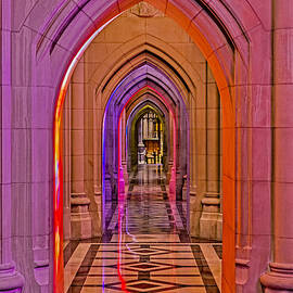 Washington Cathedral Light Show by Susan Candelario