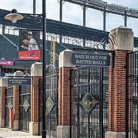 Watch Out For Batted Balls by Susan Candelario