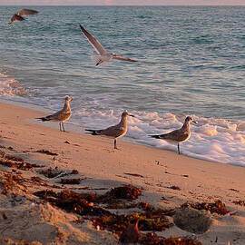 Watchin' the Waves Roll In by Richard Reeve