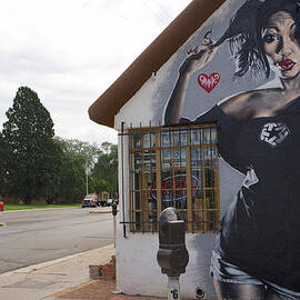 Watching Over Route 66 in Albuquerque by Mary Lee Dereske