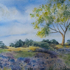 Watercolor - Tree and Meadow by Cascade Colors
