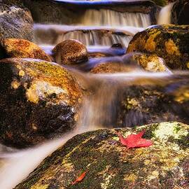 Waterfall With Red Maple Leaf. by Jeff Sinon