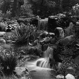 Waterfalls On The Mr J B Van Sciver Estate by Richard Rothe