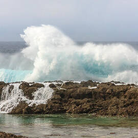 Wave Power by Sue Leonard
