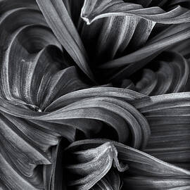 Wavy Not So Green by Jeff Sinon